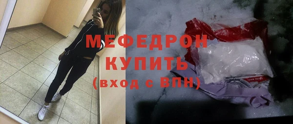 индика Каменногорск