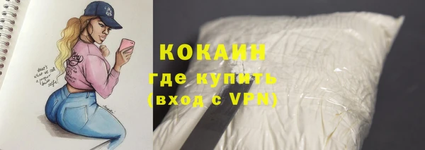 твердый Каменск-Шахтинский