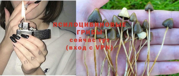 мет Алексин